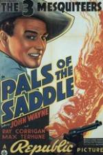 Watch Pals of the Saddle Vidbull