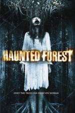 Watch Haunted Forest Vidbull