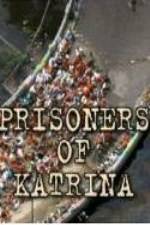 Watch Prisoners of Katrina Vidbull