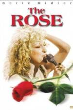 Watch The Rose Vidbull