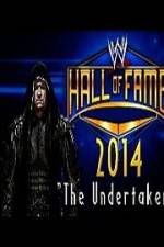 Watch WWE Hall Of Fame 2014 Vidbull