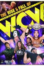 Watch WWE The Rise and Fall of WCW Vidbull