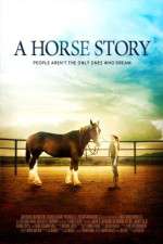 Watch A Horse Story Vidbull