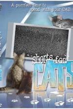 Watch Shorts for Cats Vidbull