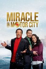 Watch Miracle in Motor City Vidbull
