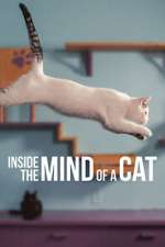 Watch Inside the Mind of a Cat Vidbull