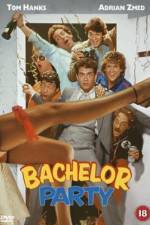 Watch Bachelor Party Vidbull