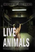 Watch Live Animals Vidbull