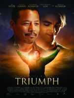 Watch Triumph Vidbull