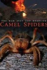 Watch Camel Spiders Vidbull