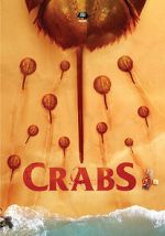 Watch Crabs! Vidbull