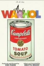 Watch Andy Warhol Vidbull