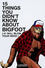 Watch 15 Things You Didn\'t Know About Bigfoot (#1 Will Blow Your Mind) Vidbull