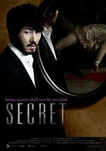 Watch Secret Vidbull