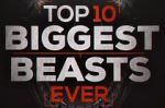 Watch Top 10 Biggest Beasts Ever Vidbull