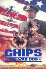 Watch Chips, the War Dog Vidbull