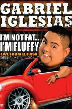 Watch Gabriel Iglesias I'm Not Fat I'm Fluffy Vidbull