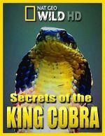 Watch Secrets of the King Cobra Vidbull