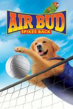 Watch Air Bud: Spikes Back Vidbull
