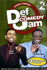 Watch Def Comedy Jam All-Stars Vol. 2 Vidbull