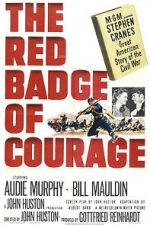 Watch The Red Badge of Courage Vidbull