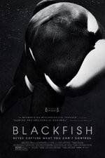 Watch Blackfish Vidbull