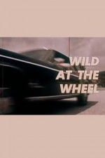 Watch Wild at the Wheel Vidbull