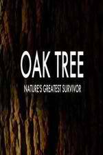 Watch Oak Tree Natures Greatest Survivor Vidbull