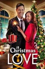 Watch A Christmas Love Vidbull