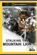 Watch National Geographic - America the Wild: Stalking the Mountain Lion Vidbull