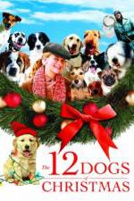 Watch The 12 Dogs of Christmas Vidbull
