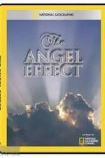 Watch National Geographic Explorer - The Angel Effect Vidbull