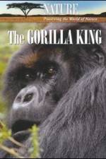 Watch Nature The Gorilla King Vidbull