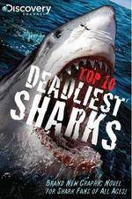 Watch National Geographic Worlds Deadliest Sharks Vidbull