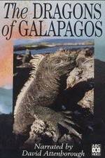 Watch The Dragons of Galapagos Vidbull