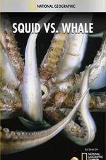 Watch National Geographic Wild - Squid Vs Whale Vidbull