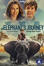 Watch An Elephant\'s Journey Vidbull