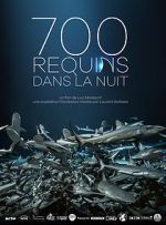 Watch 700 requins dans la nuit Vidbull