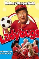Watch Ladybugs Vidbull
