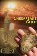 Watch Chesapeake Gold Vidbull