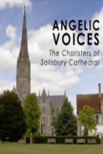 Watch Angelic Voices The Choristers of Salisbury Cathedral Vidbull