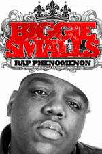 Watch Biggie Smalls Rap Phenomenon Vidbull