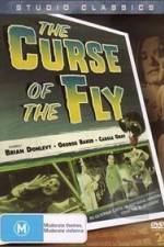 Watch Curse of the Fly Vidbull