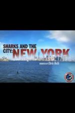 Watch Sharks and the City: New York Vidbull