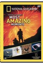 Watch National Geographic's Most Amazing Moments Vidbull