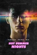 Watch Hot Summer Nights Vidbull