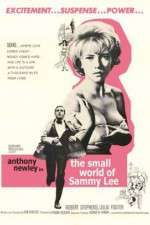 Watch The Small World of Sammy Lee Vidbull