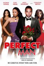 Watch The Perfect Man Vidbull
