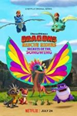 Watch Dragons: Rescue Riders: Secrets of the Songwing Vidbull