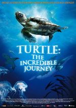 Watch Turtle: The Incredible Journey Vidbull